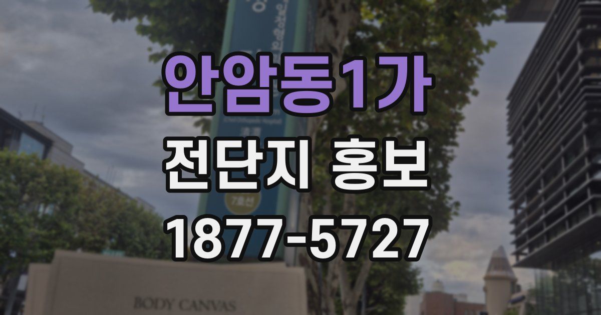 안암동1가 전단지 홍보