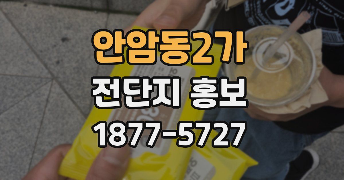 안암동2가 전단지 홍보