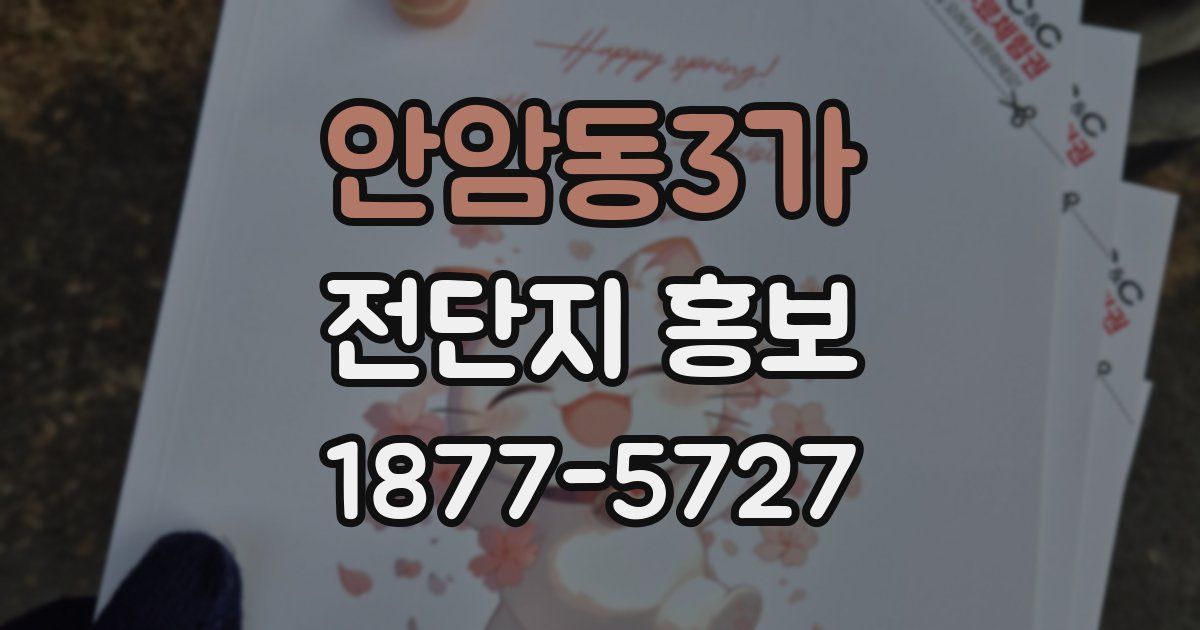 안암동3가 전단지 홍보