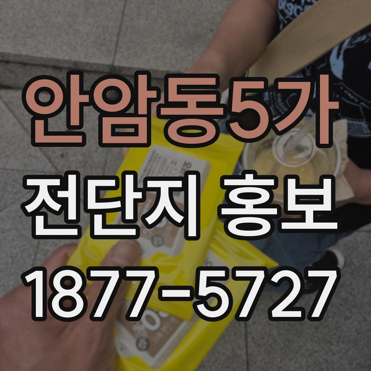 안암동5가 전단지 홍보