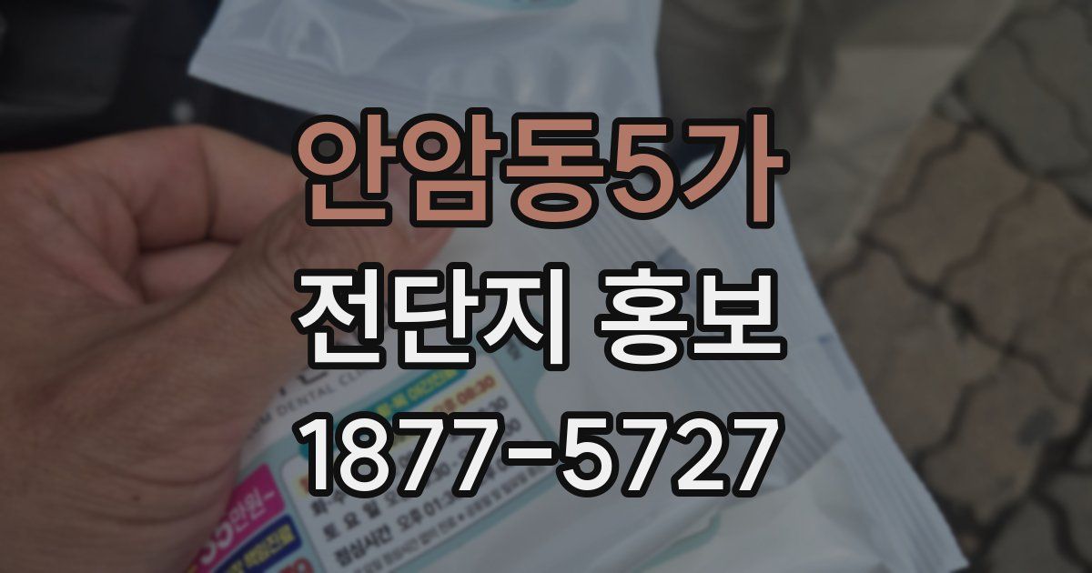 안암동5가 전단지 홍보
