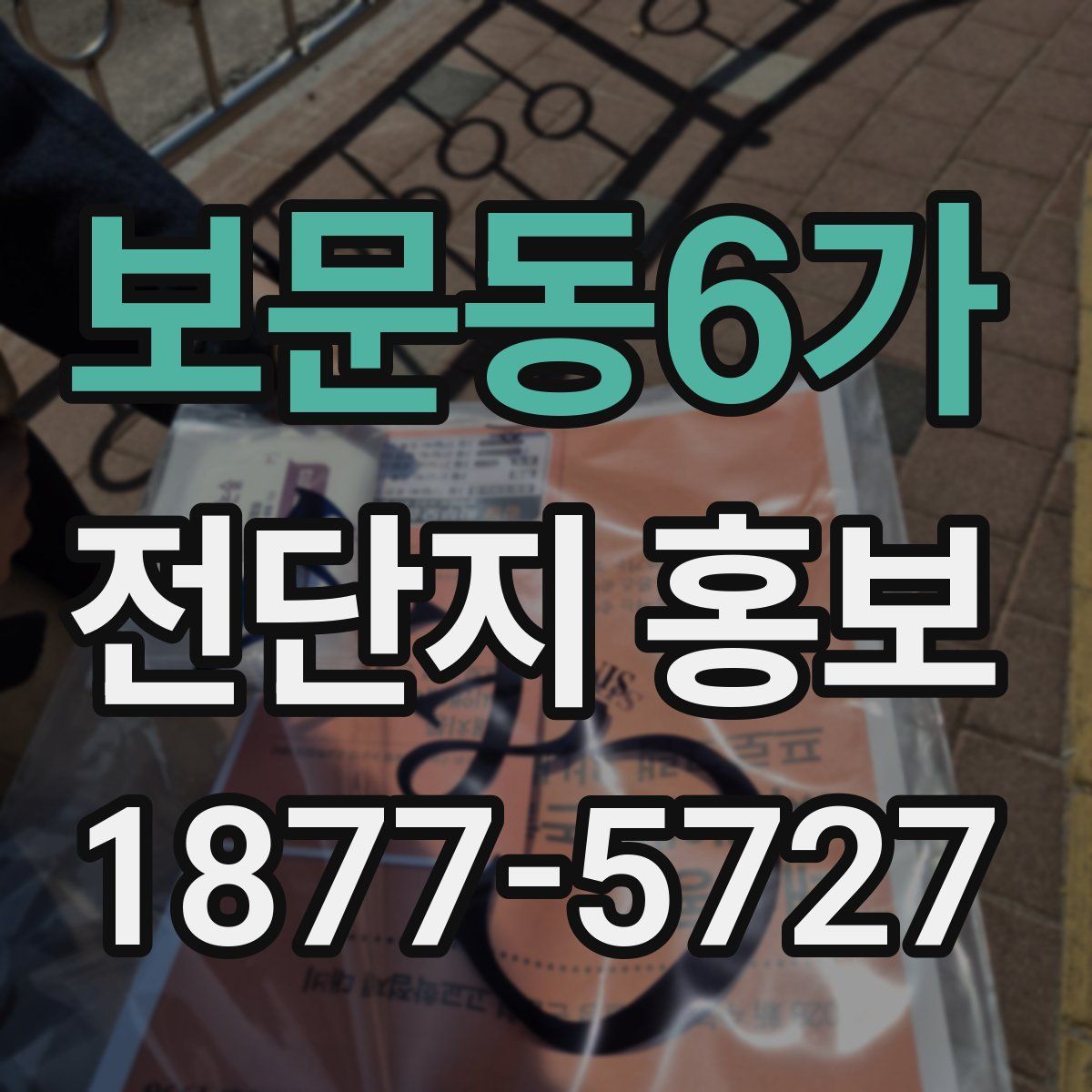 보문동6가 전단지 홍보