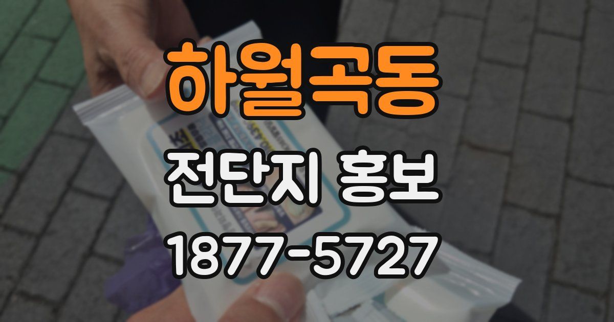 하월곡동 전단지 홍보