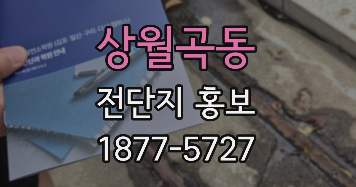 상월곡동 전단지 홍보