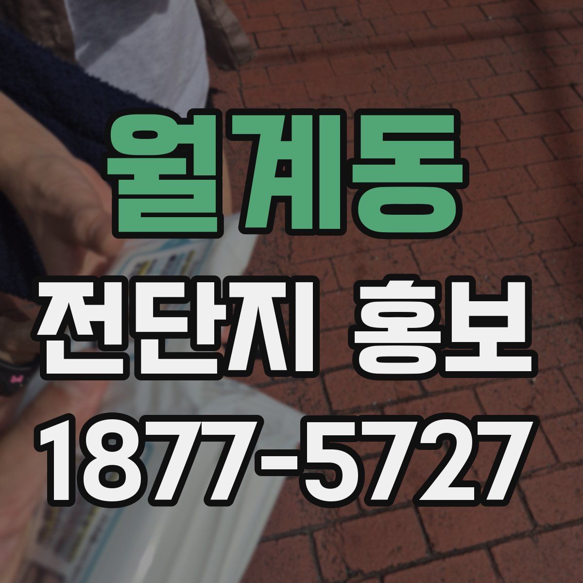 월계동 전단지 홍보