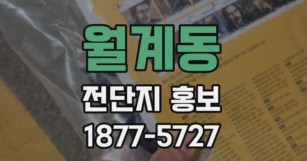 월계동 전단지 홍보