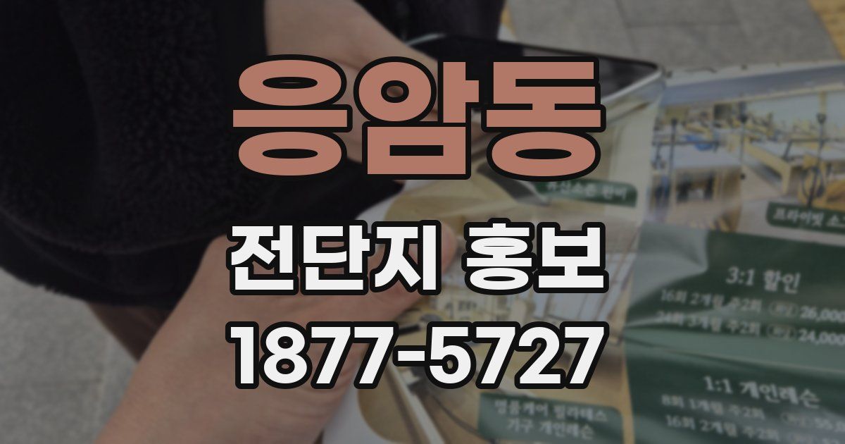 응암동 전단지 홍보