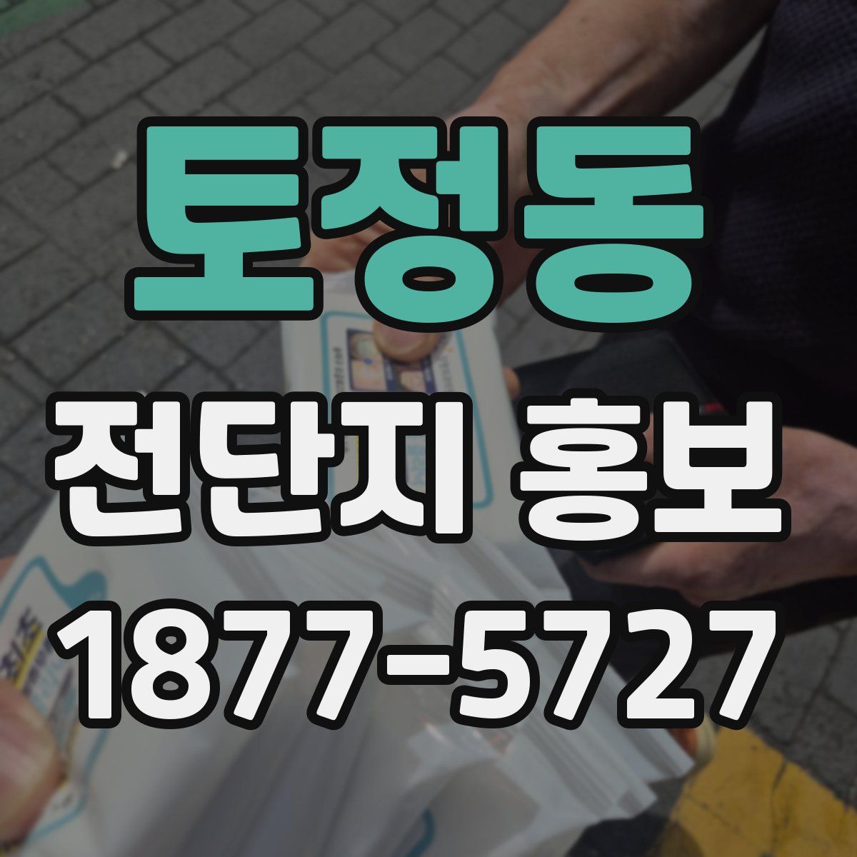 토정동 전단지 홍보