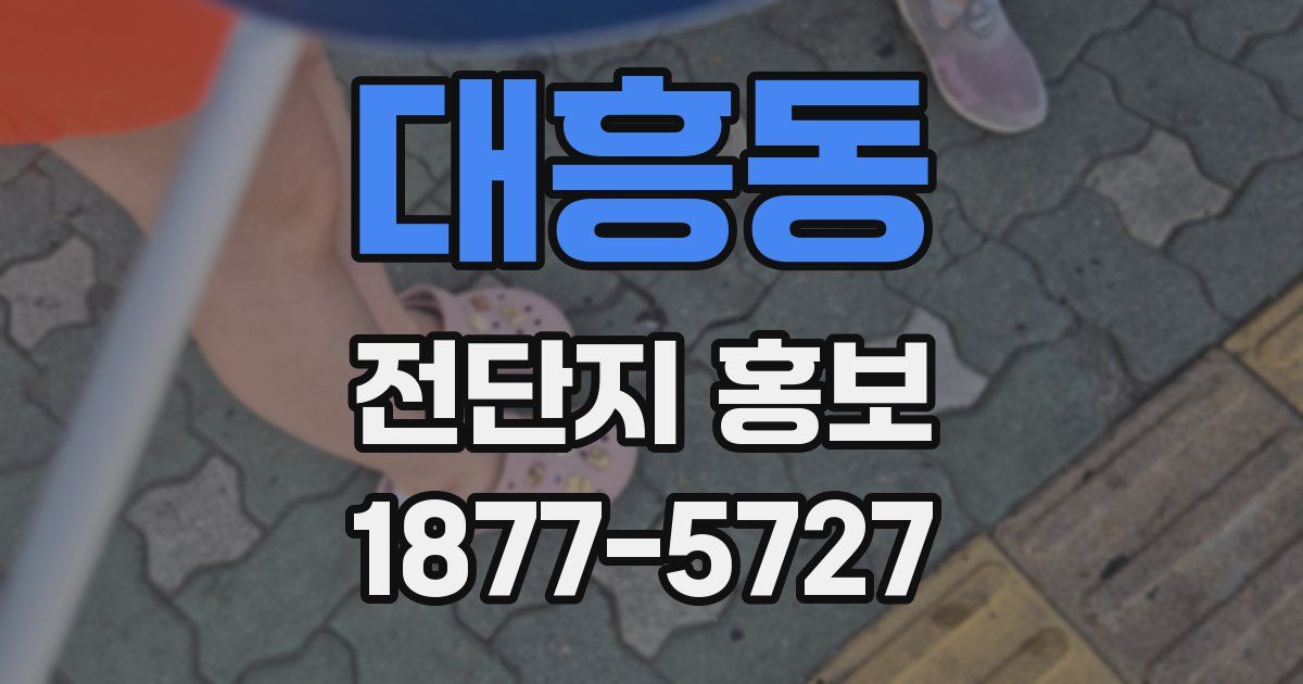 대흥동 전단지 홍보