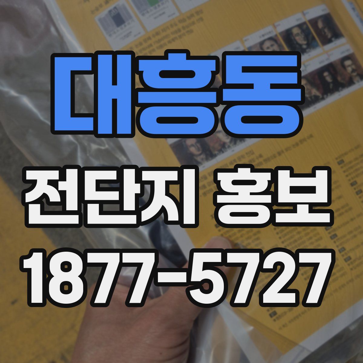 대흥동 전단지 홍보