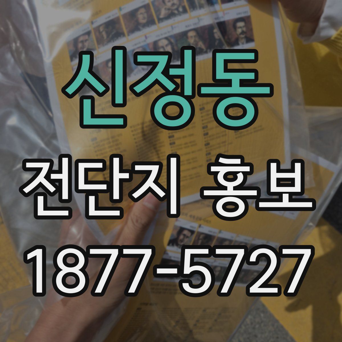 신정동 전단지 홍보