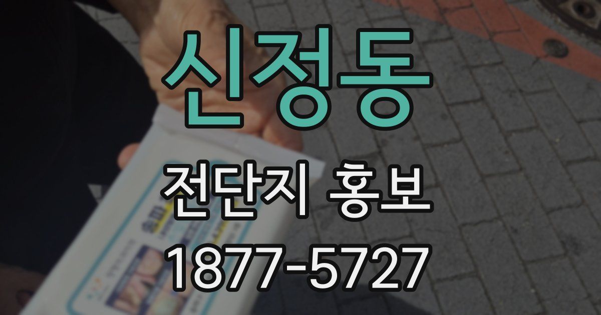 신정동 전단지 홍보