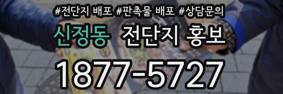 신정동 전단지 홍보