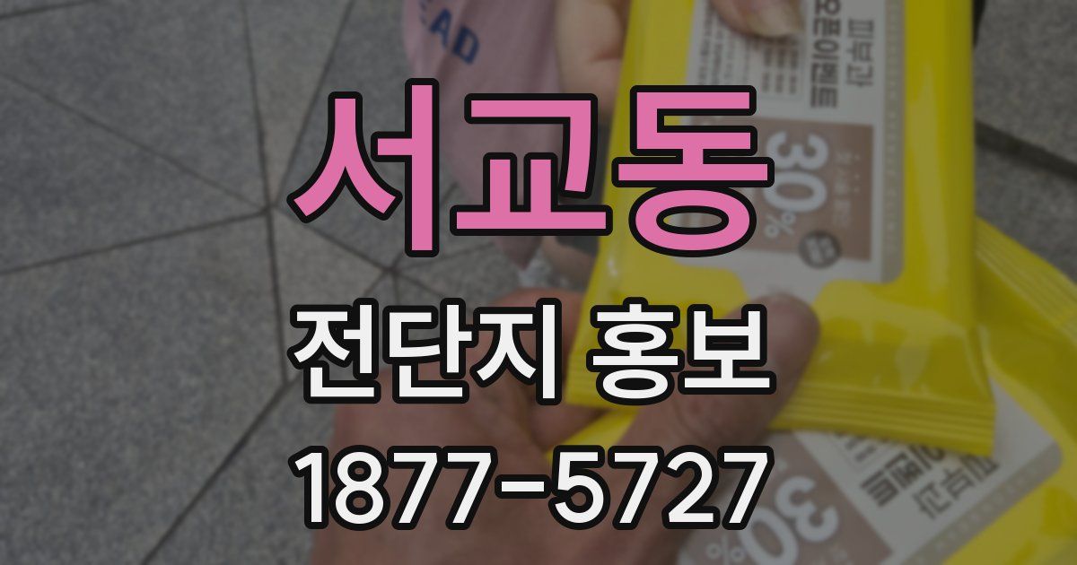 서교동 전단지 홍보