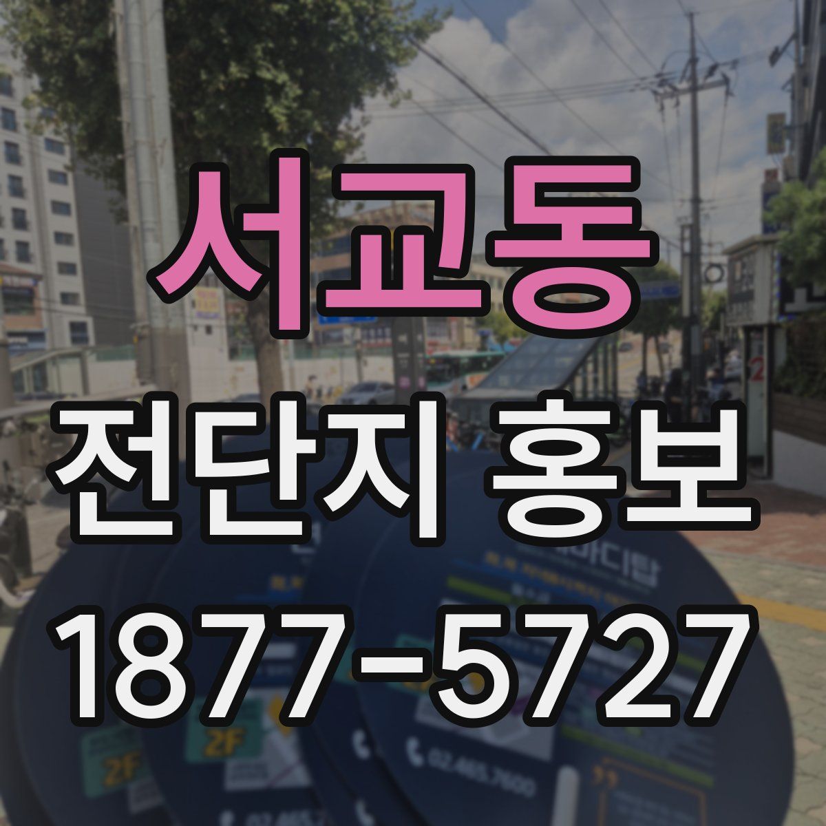 서교동 전단지 홍보
