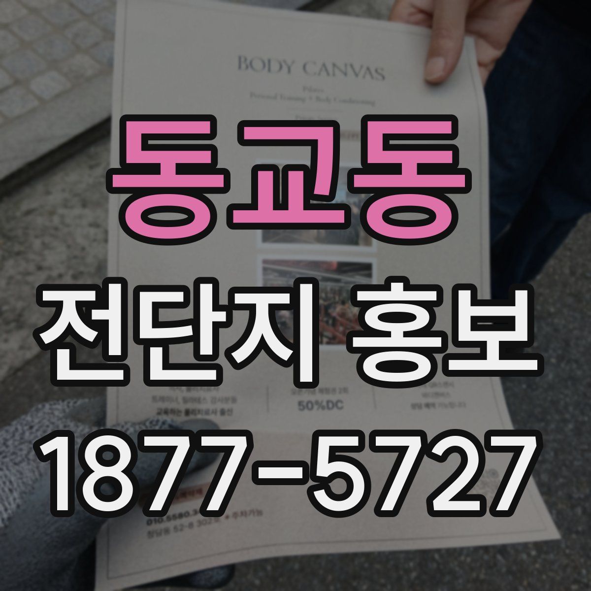 동교동 전단지 홍보