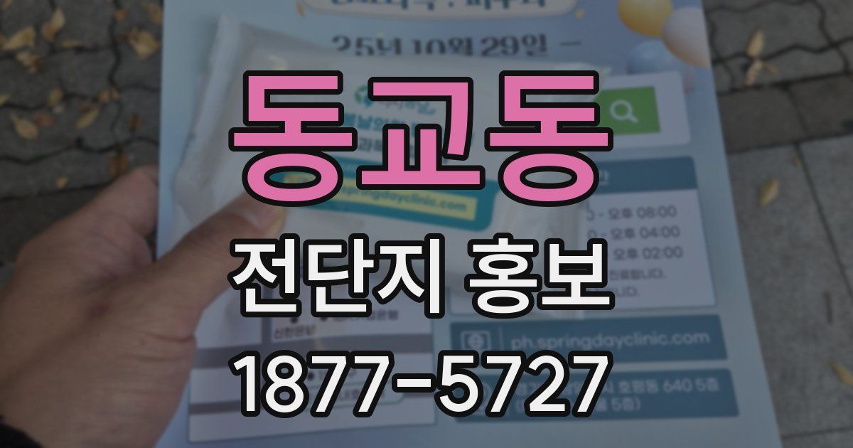 동교동 전단지 홍보