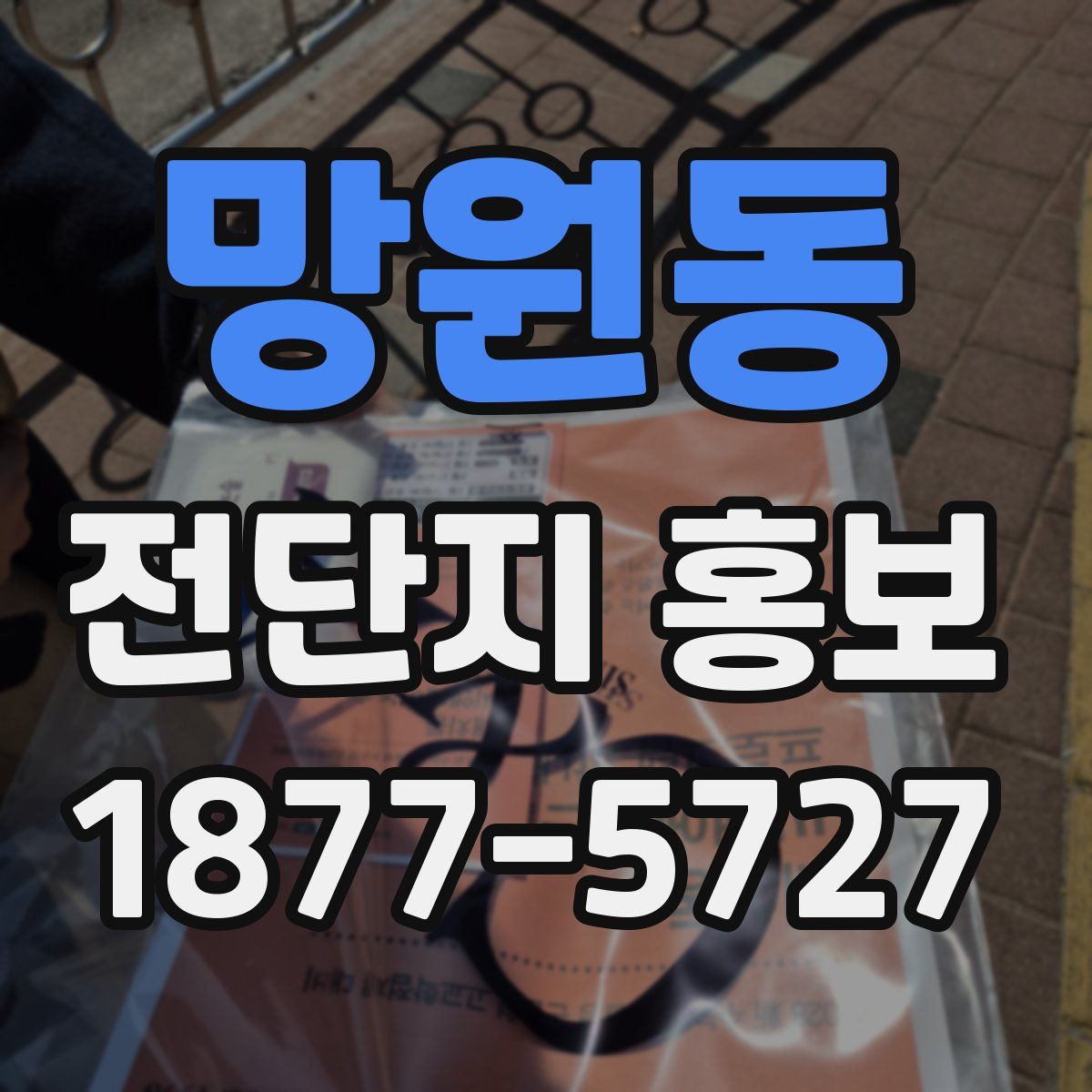 망원동 전단지 홍보