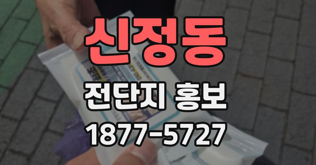신정동 전단지 홍보