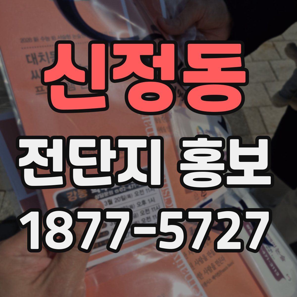 신정동 전단지 홍보