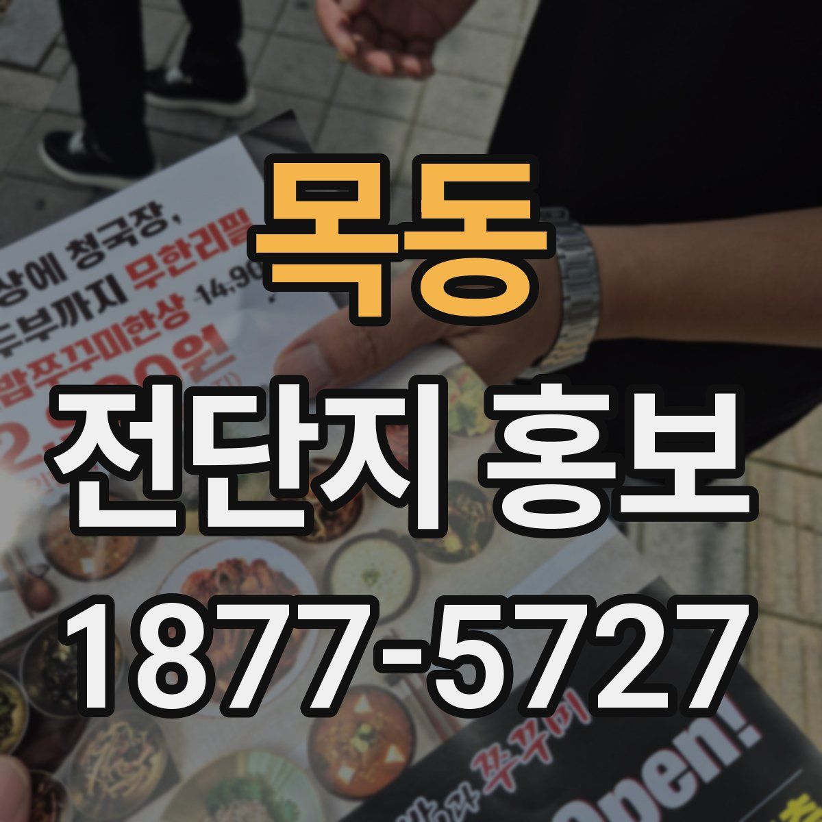 목동 전단지 홍보