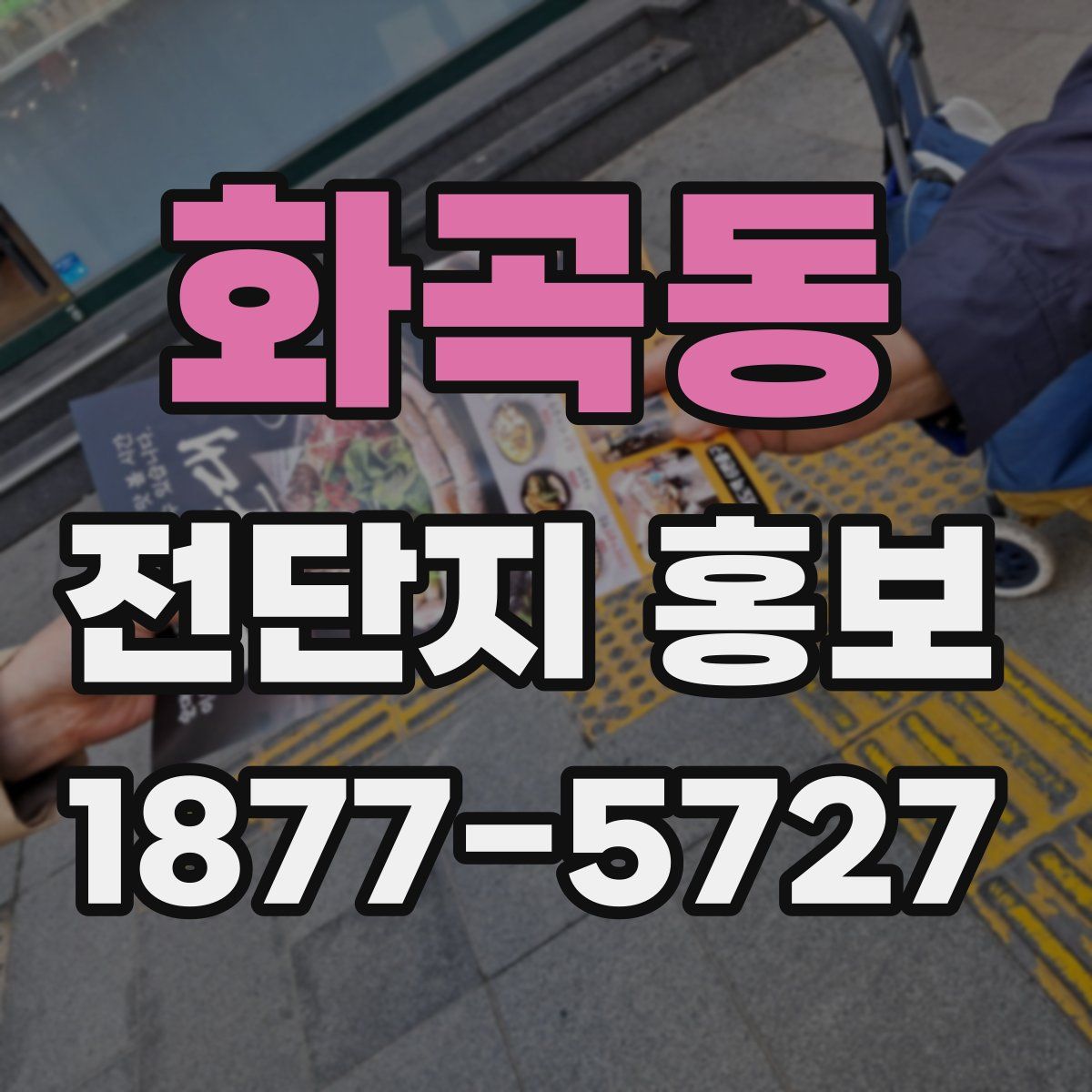 화곡동 전단지 홍보