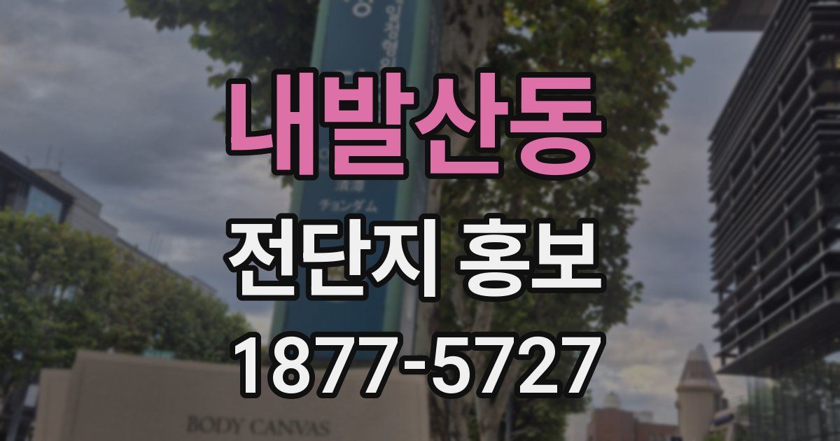 내발산동 전단지 홍보