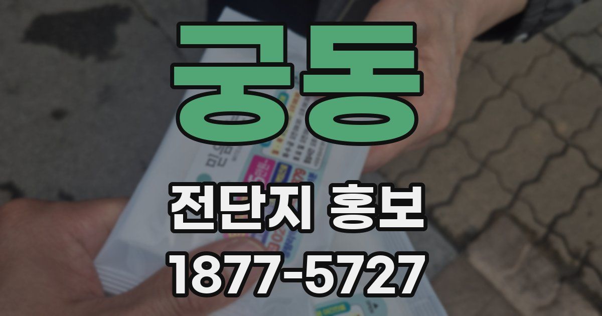 궁동 전단지 홍보