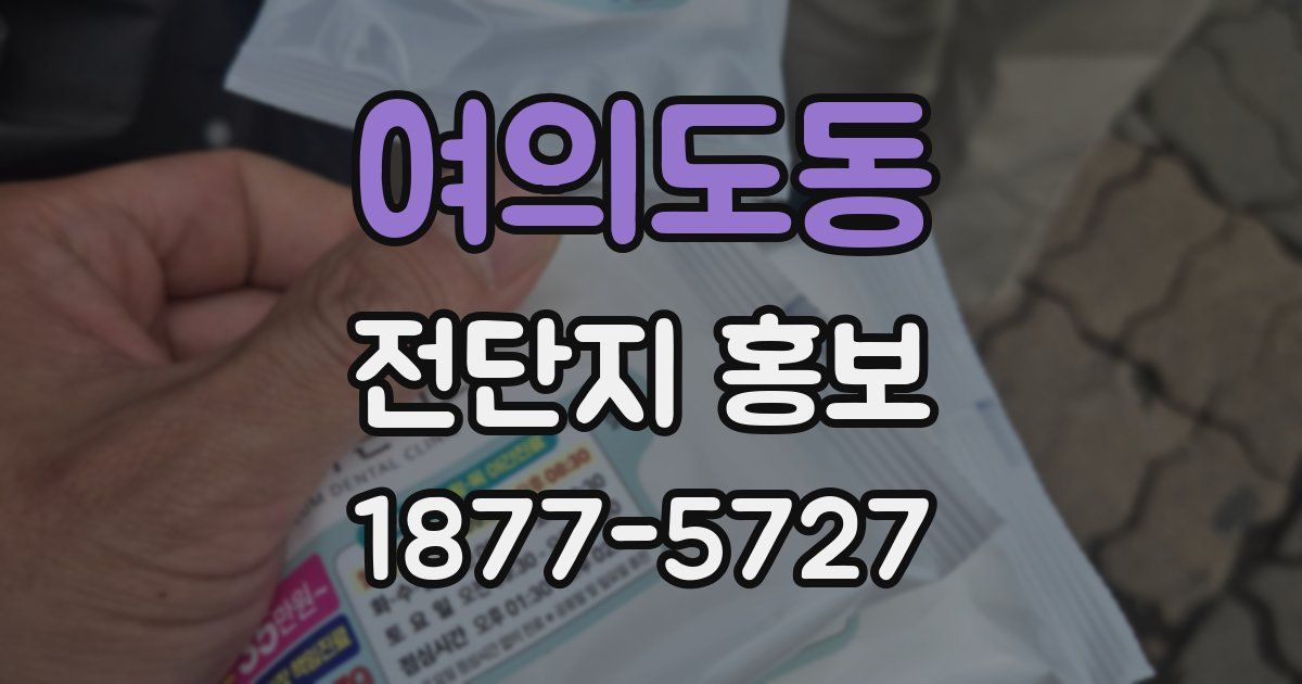 여의도동 전단지 홍보