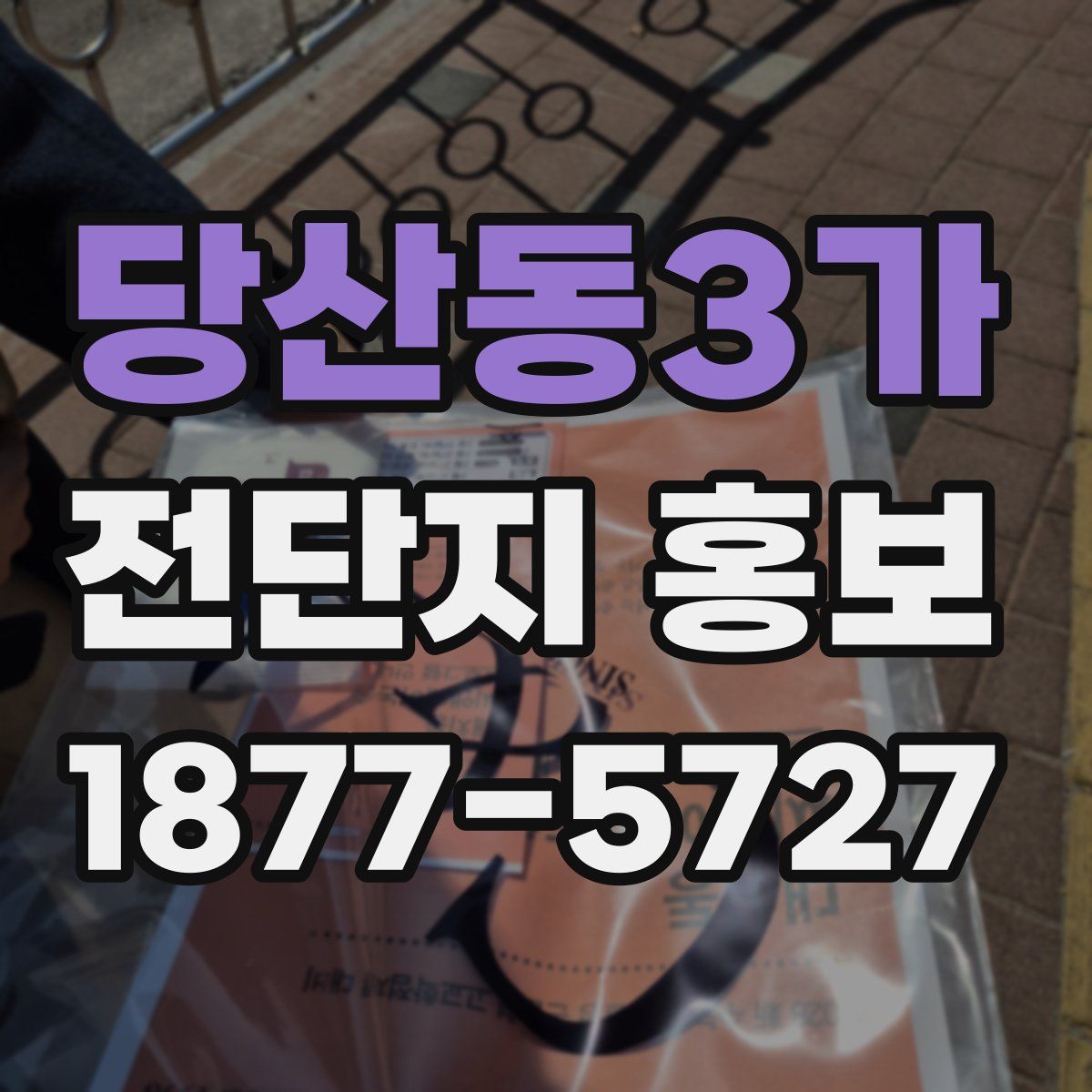 당산동3가 전단지 홍보