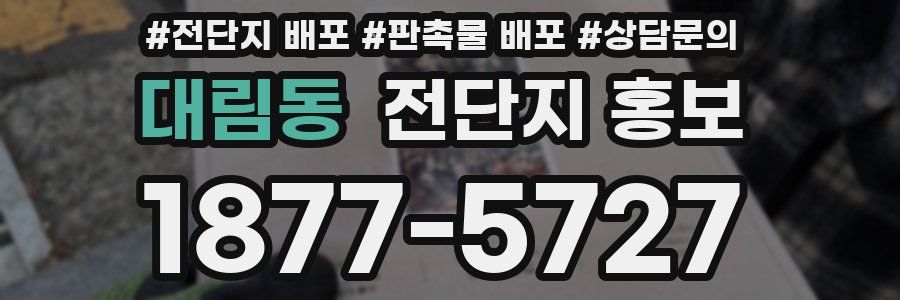 대림동 전단지 홍보
