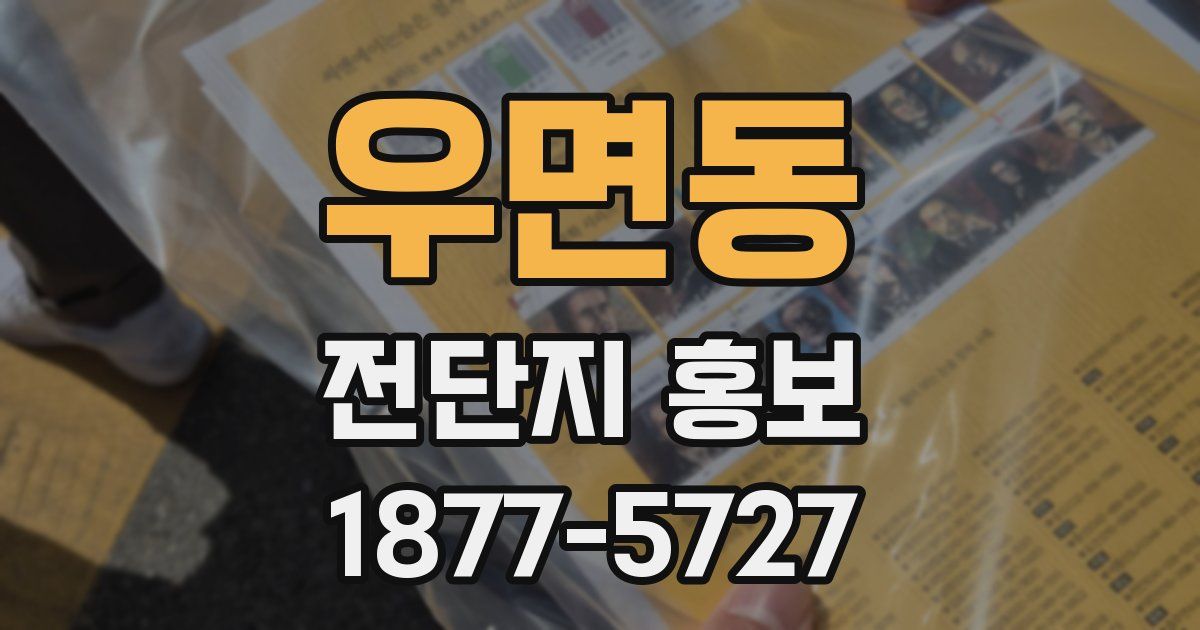 우면동 전단지 홍보