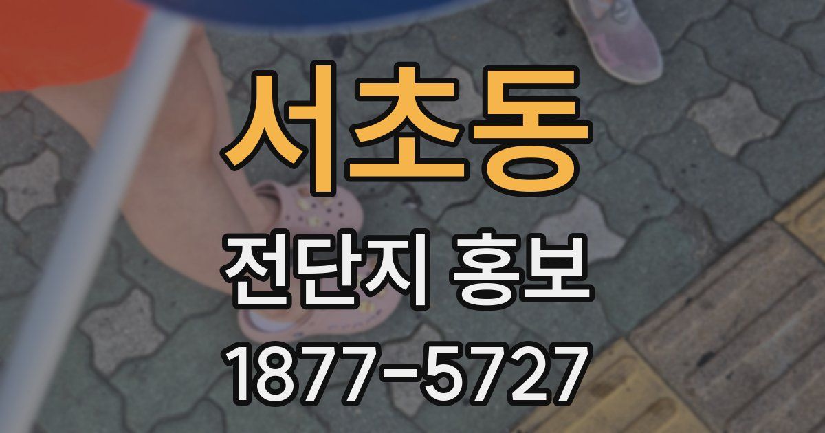 서초동 전단지 홍보