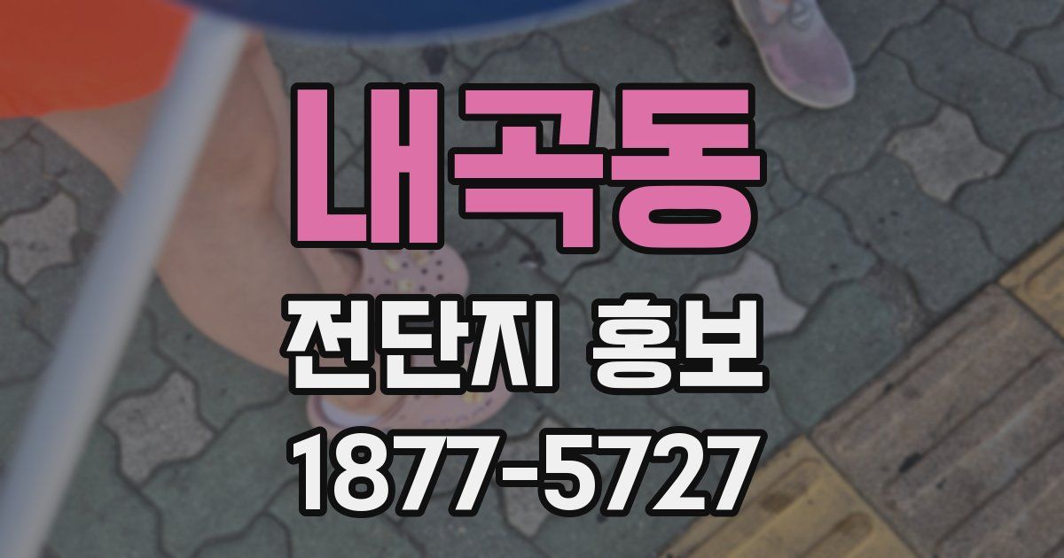 내곡동 전단지 홍보