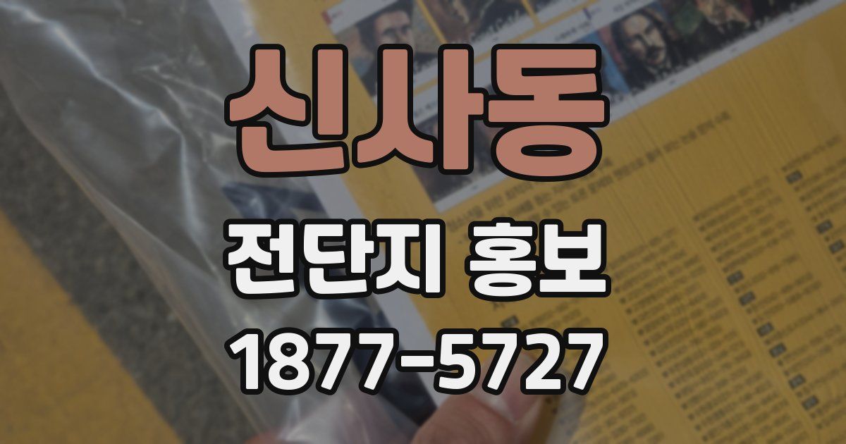 신사동 전단지 홍보