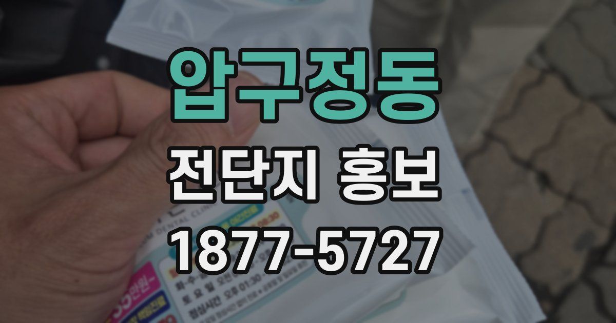 압구정동 전단지 홍보