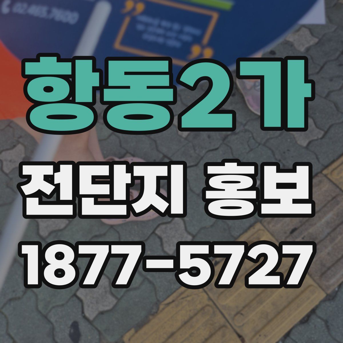 항동2가 전단지 홍보