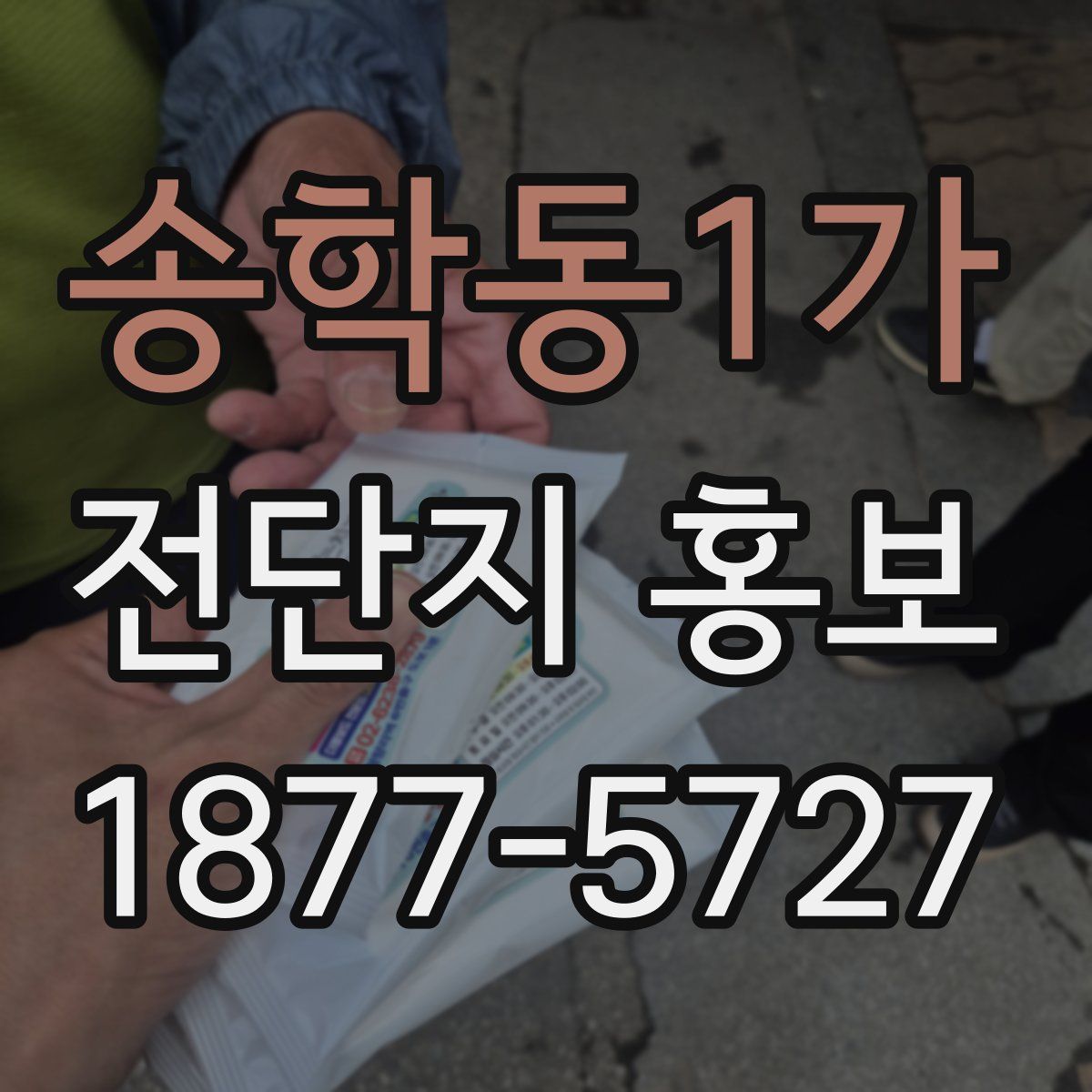 송학동1가 전단지 홍보