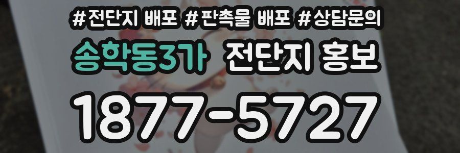 송학동3가 전단지 홍보
