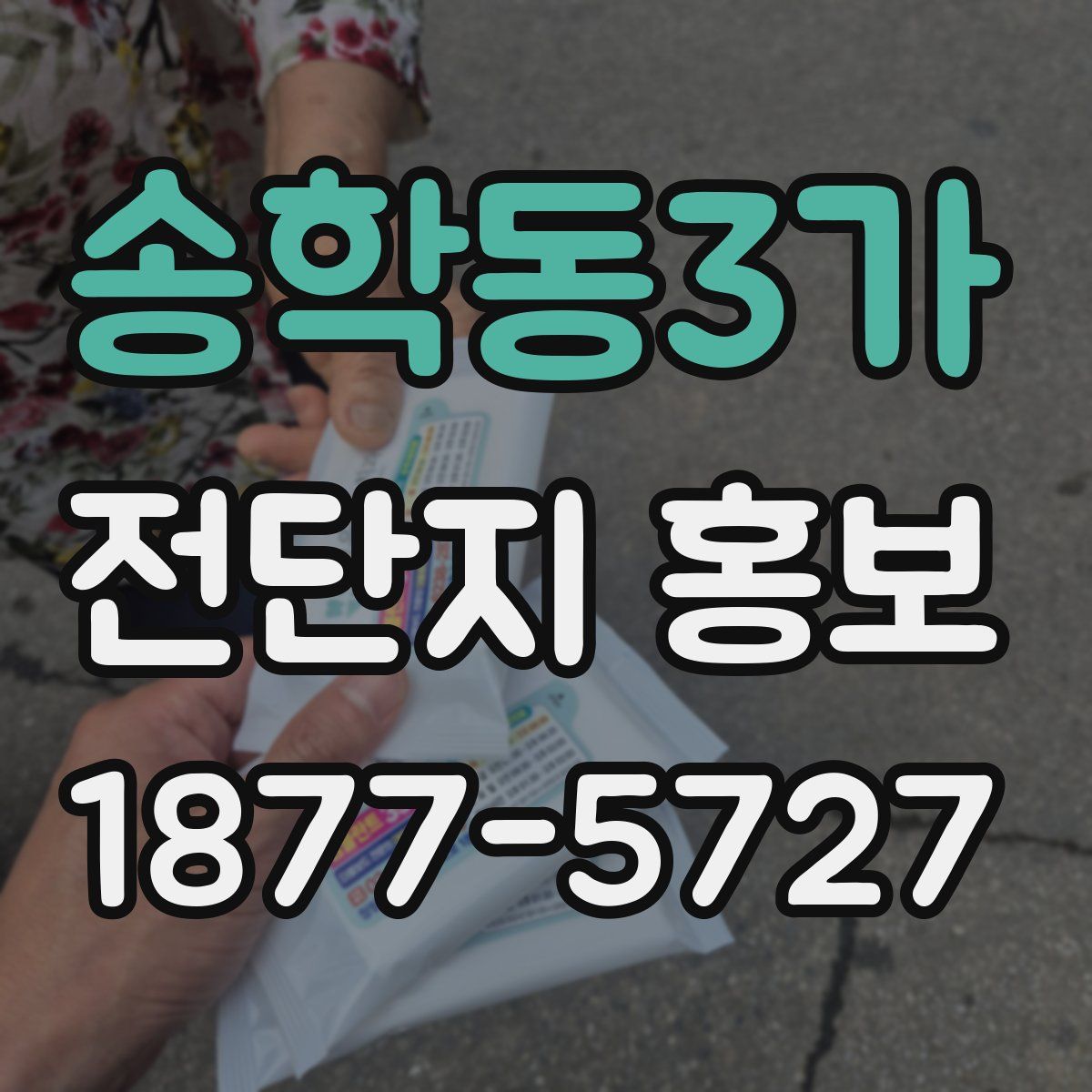 송학동3가 전단지 홍보