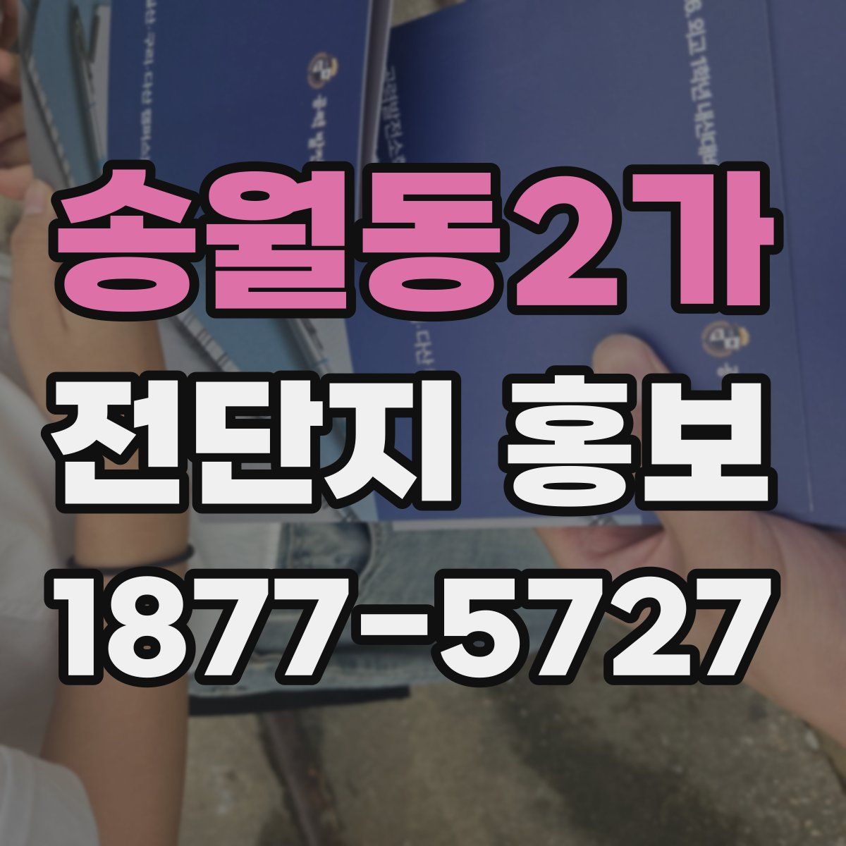 송월동2가 전단지 홍보