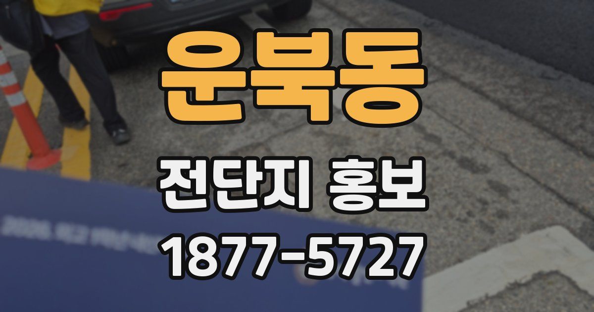 운북동 전단지 홍보