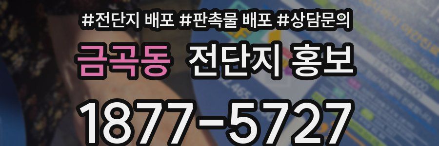 금곡동 전단지 홍보
