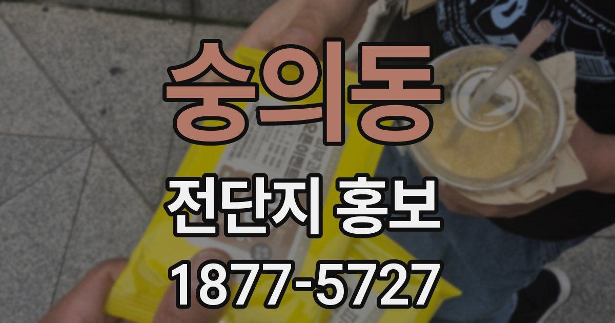 숭의동 전단지 홍보