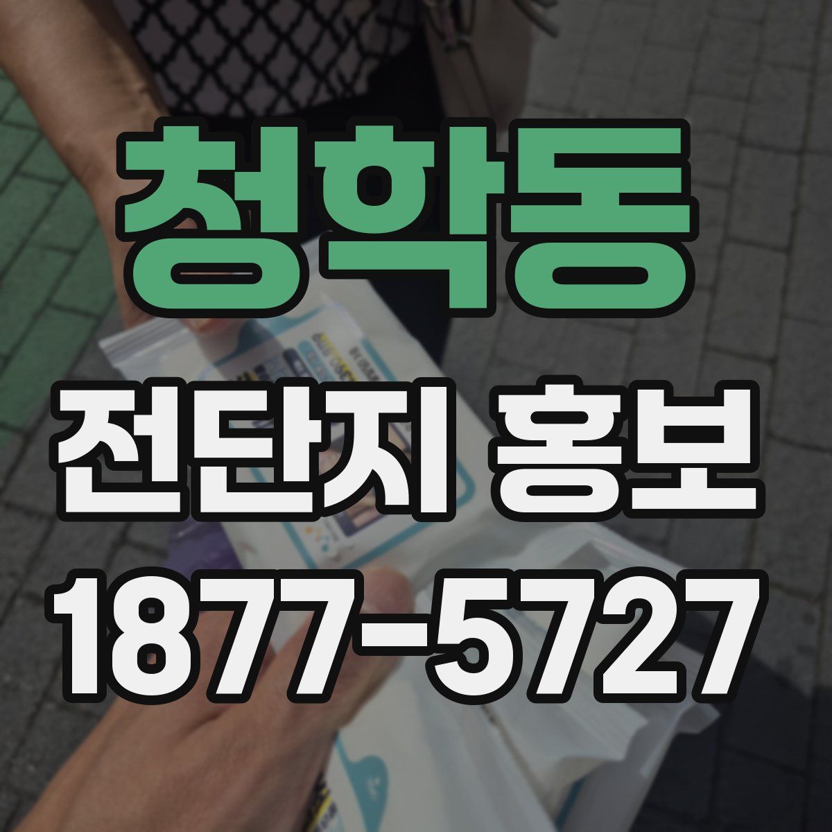 청학동 전단지 홍보