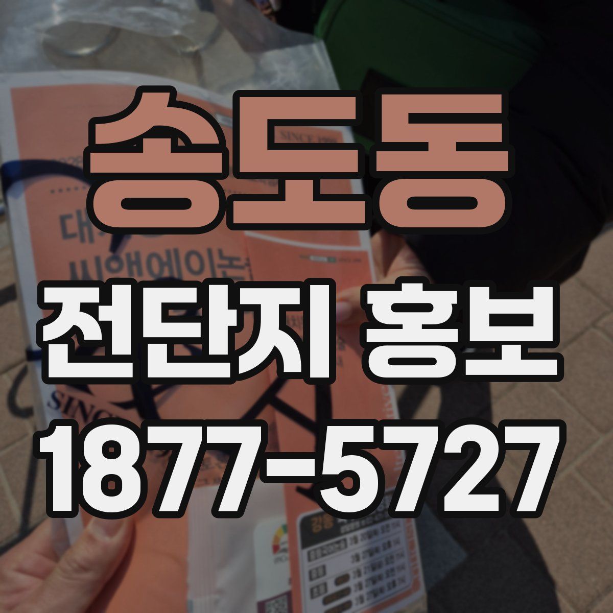 송도동 전단지 홍보