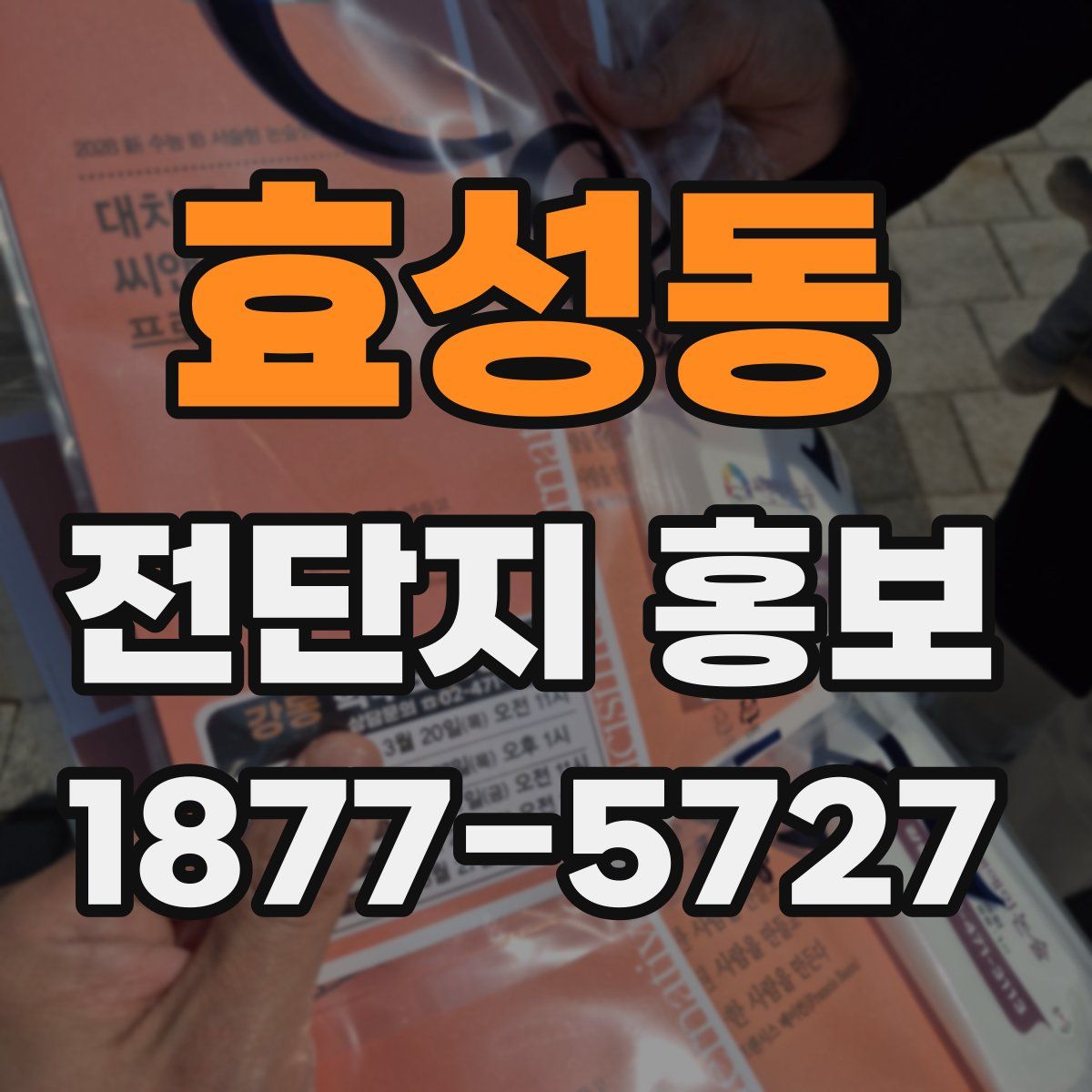 효성동 전단지 홍보