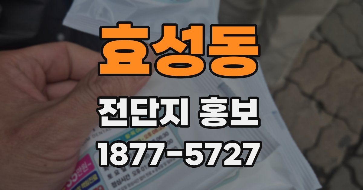 효성동 전단지 홍보