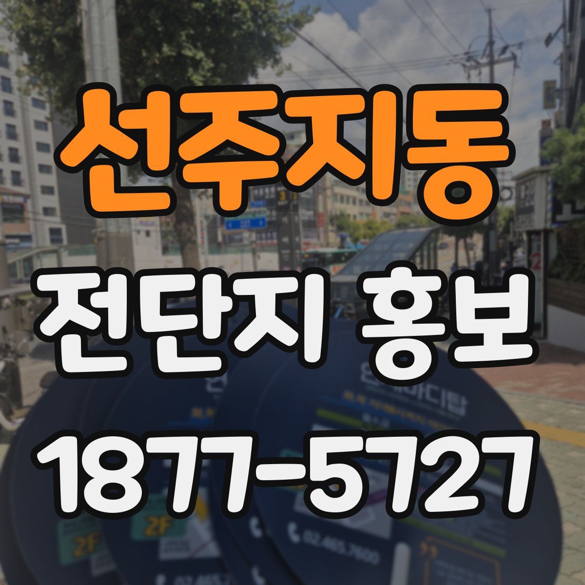 선주지동 전단지 홍보