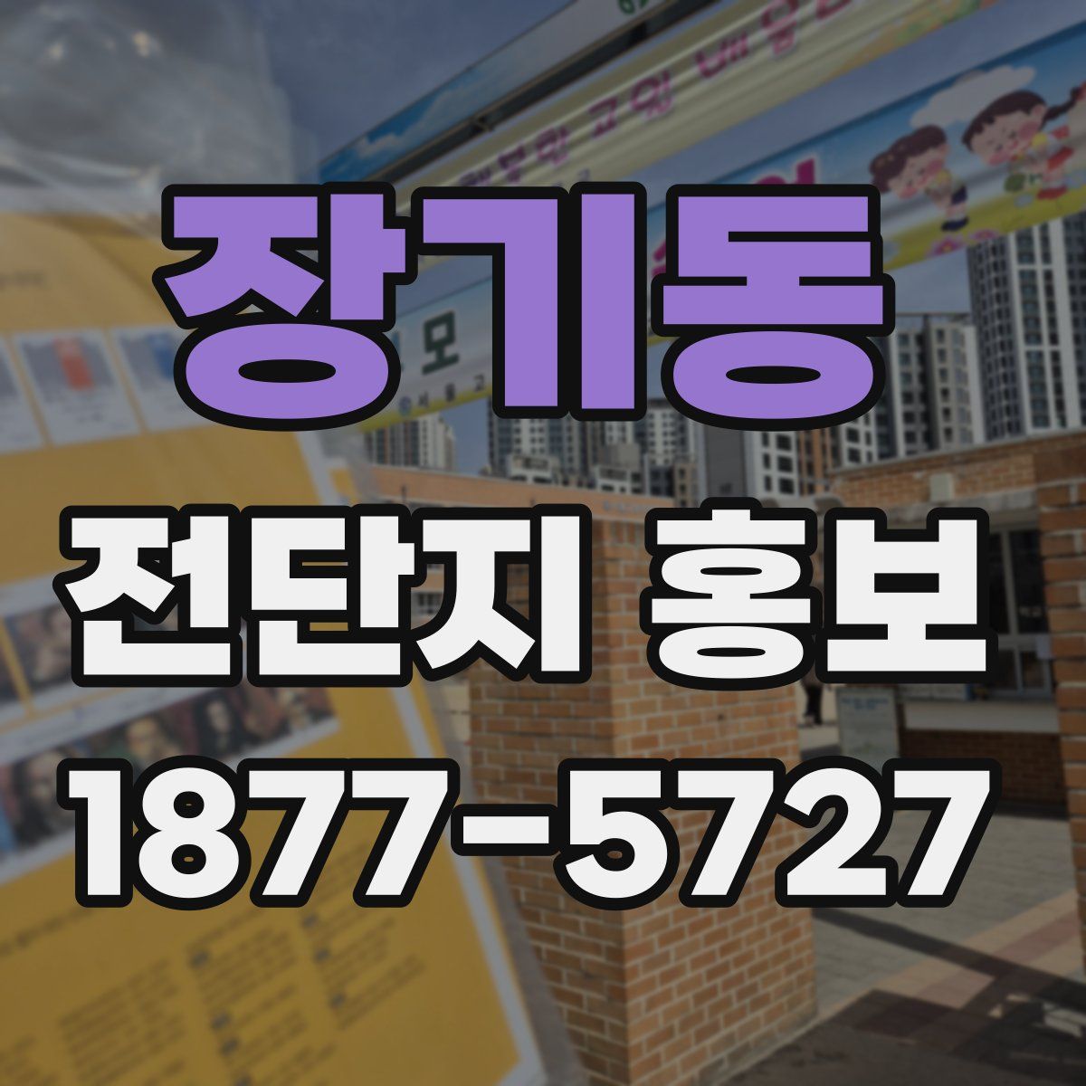장기동 전단지 홍보